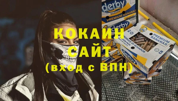 apvp Горняк