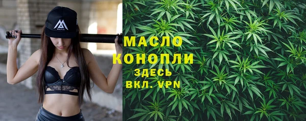 apvp Горняк