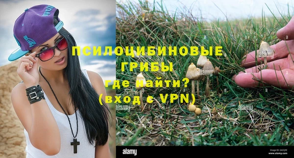 apvp Горняк