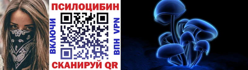 Галлюциногенные грибы Magic Shrooms  Купить  Буй 